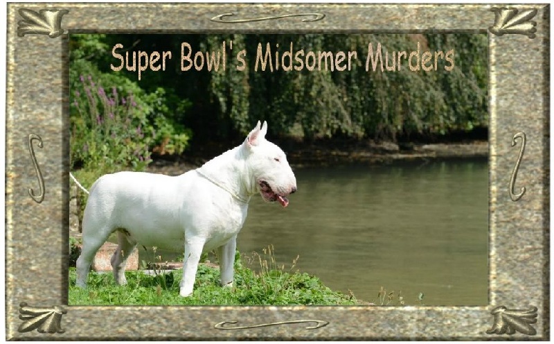 Midsomer murders Super bowl's